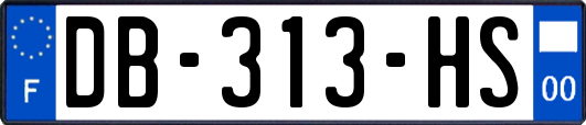 DB-313-HS