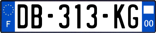 DB-313-KG