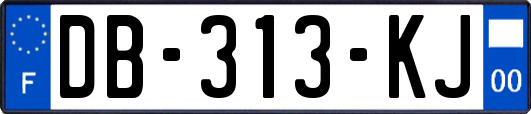 DB-313-KJ