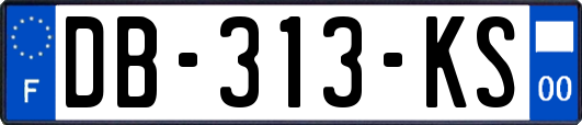 DB-313-KS