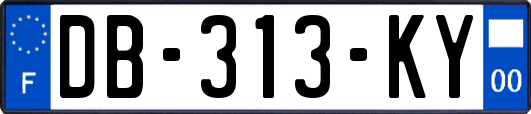 DB-313-KY