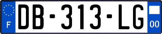 DB-313-LG