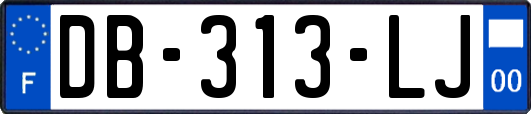 DB-313-LJ