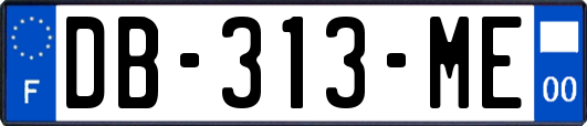 DB-313-ME