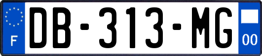 DB-313-MG