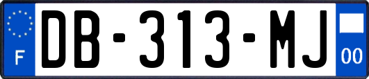 DB-313-MJ