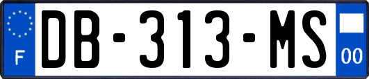DB-313-MS