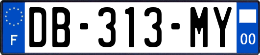 DB-313-MY