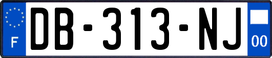 DB-313-NJ