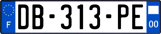 DB-313-PE