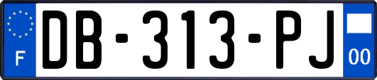 DB-313-PJ