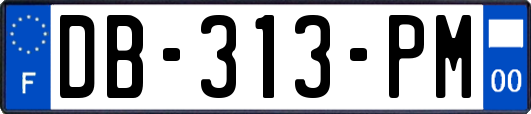 DB-313-PM