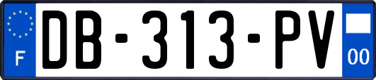DB-313-PV