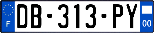 DB-313-PY