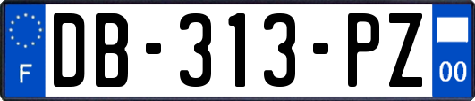 DB-313-PZ