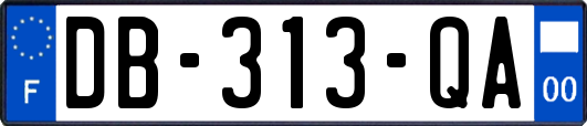 DB-313-QA