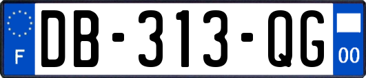 DB-313-QG