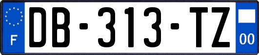 DB-313-TZ