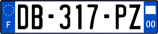 DB-317-PZ