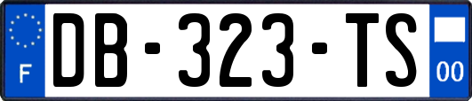 DB-323-TS