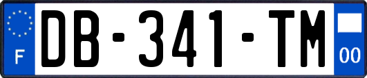 DB-341-TM