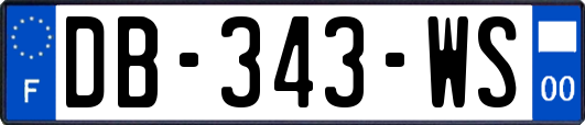 DB-343-WS