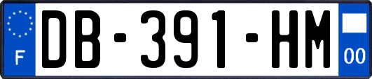 DB-391-HM