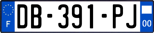 DB-391-PJ