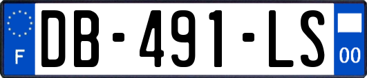 DB-491-LS