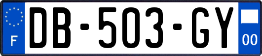 DB-503-GY