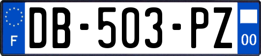 DB-503-PZ