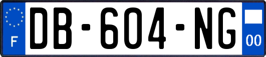 DB-604-NG