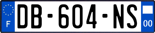DB-604-NS