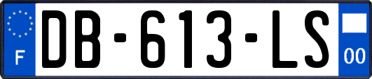 DB-613-LS