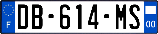 DB-614-MS