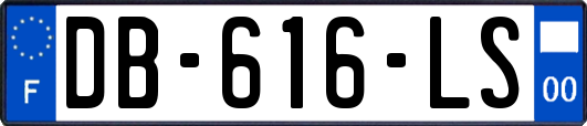 DB-616-LS
