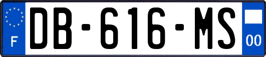 DB-616-MS