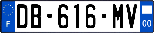 DB-616-MV
