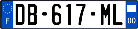 DB-617-ML