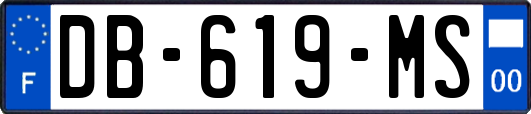 DB-619-MS