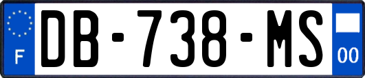 DB-738-MS