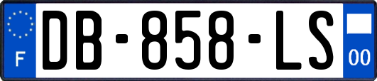 DB-858-LS