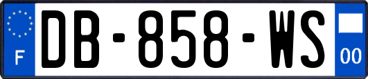 DB-858-WS