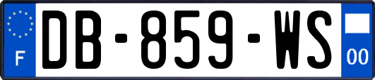 DB-859-WS