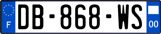 DB-868-WS