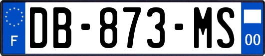 DB-873-MS