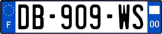 DB-909-WS