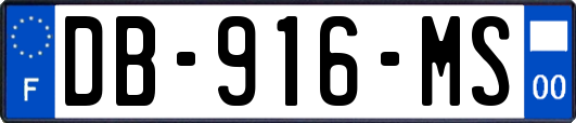 DB-916-MS
