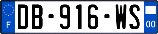DB-916-WS