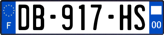 DB-917-HS